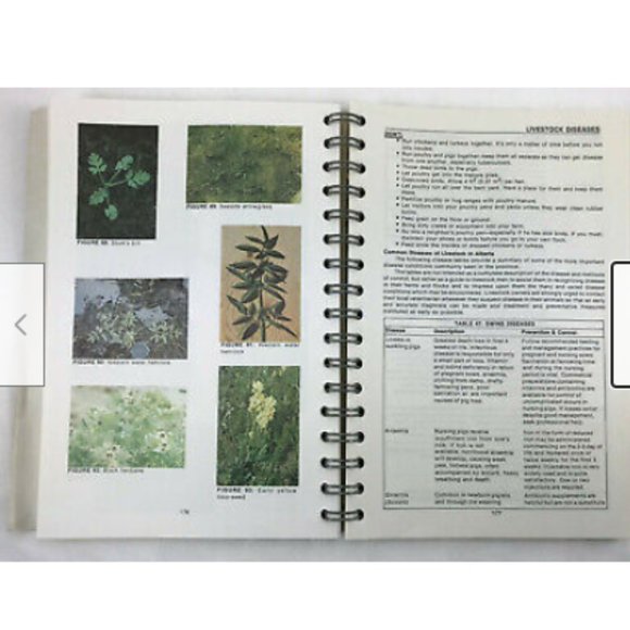 1976 Dept Agriculture Alberta Farm Guide Crop Insects Livestock Commodity Future - Picture 3 of 12